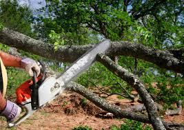 Best Utility Line Clearance  in Prairie Heights, WA